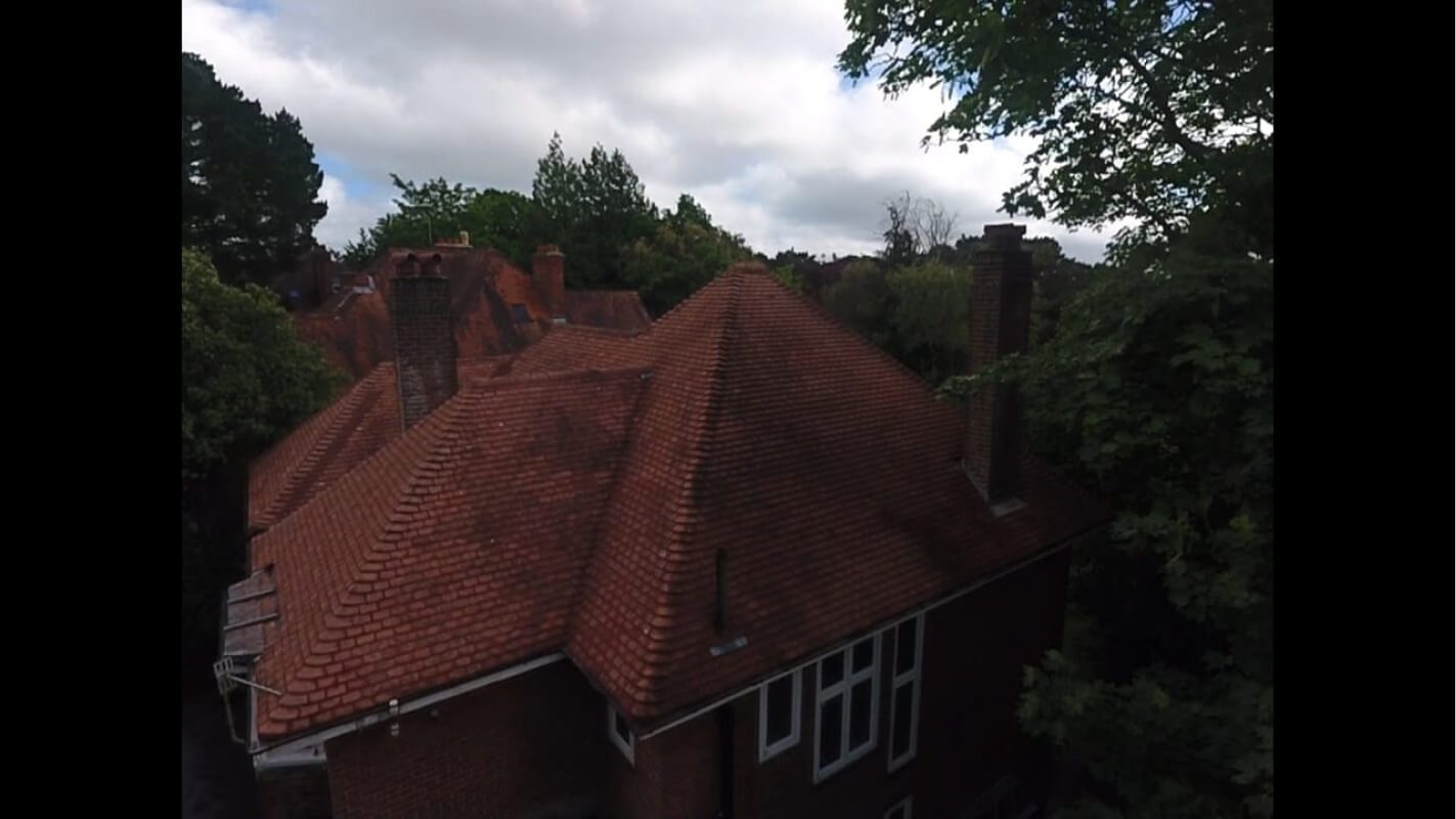 tree line view of red brick roof post soft wash clean