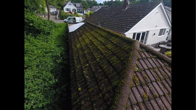 left had view of garden workshop encased in moss and roof grime