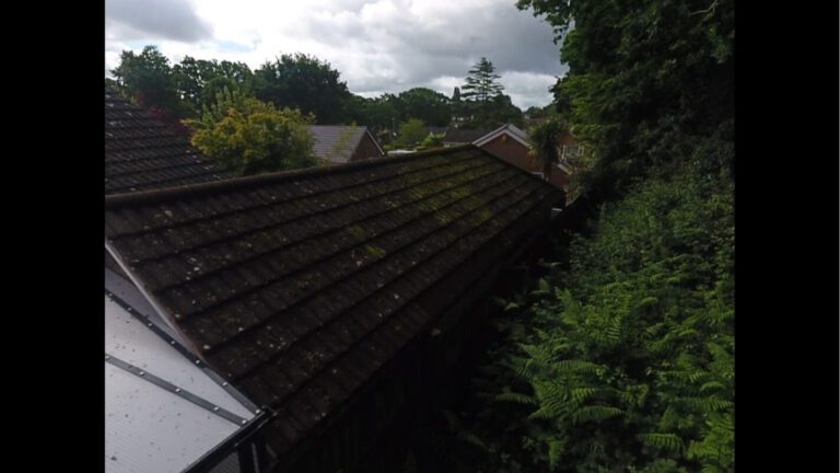 view from the treeline of moss coated roof in Dorset