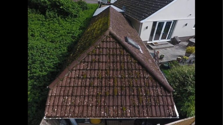 garden workshop tiled roof covered in moss