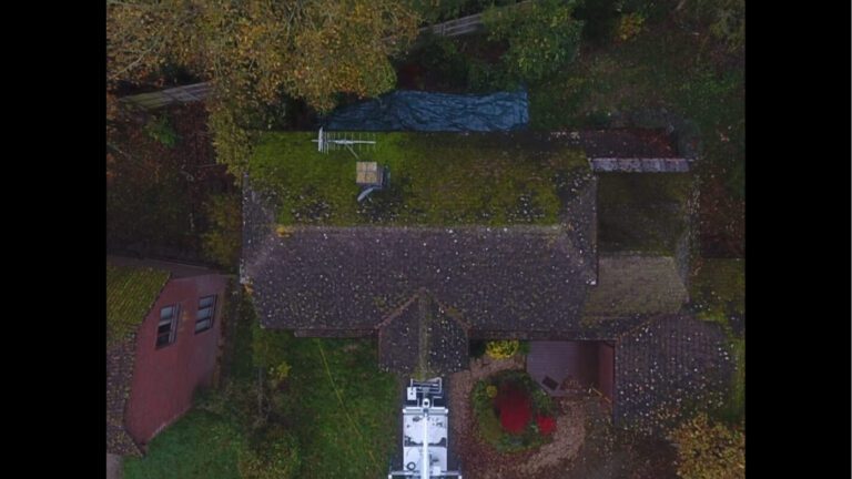 Top down view of tiled roof covered in moss and dirt