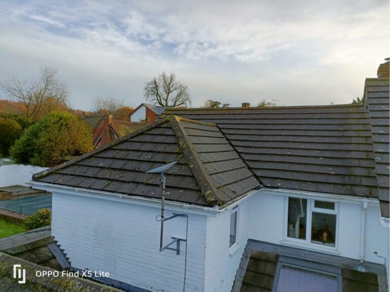White home with grey tile rood covered in moss