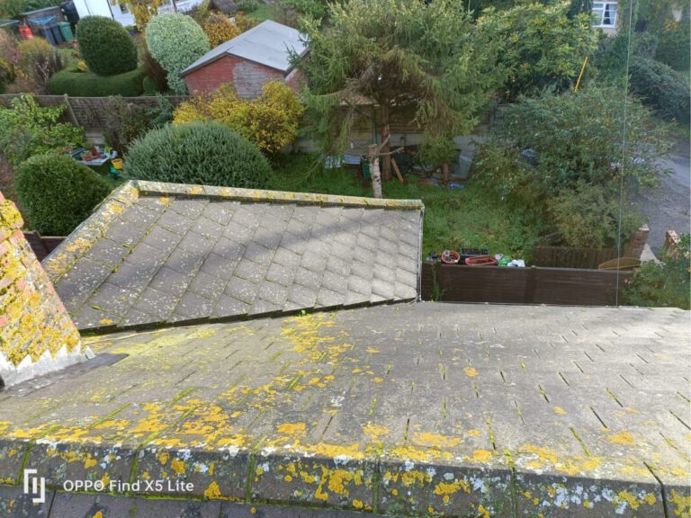 filthy roof covered in moss and other grime