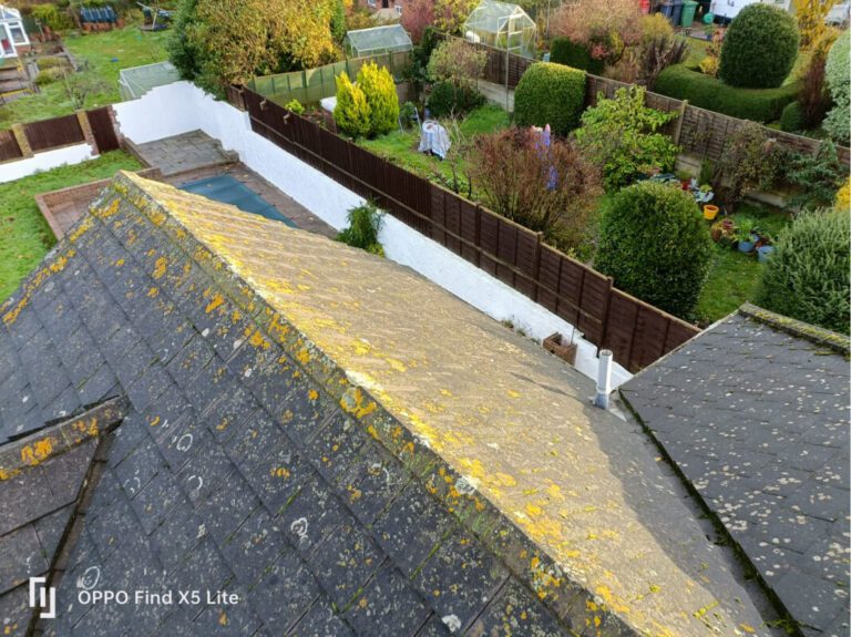 UK tiled roof covered in moss