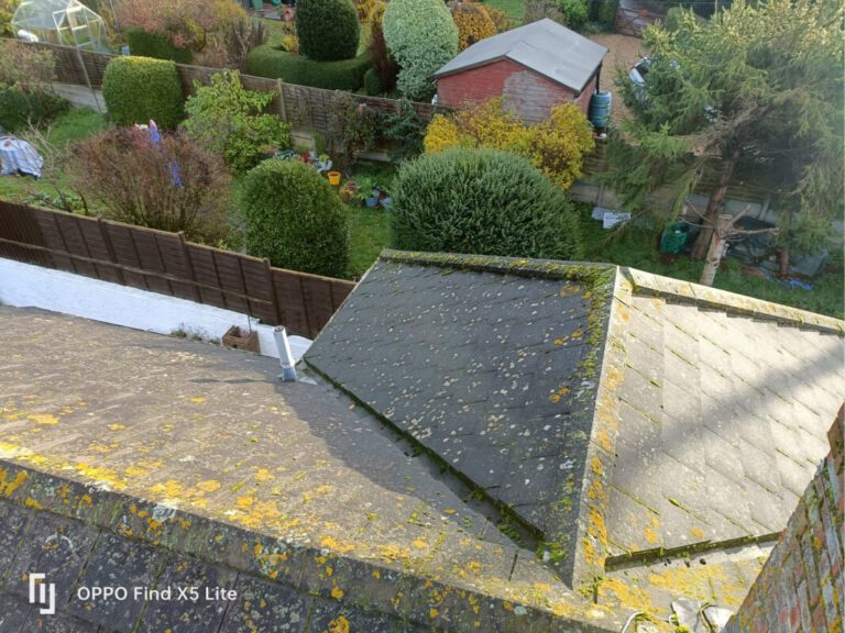 Dirty moss covered roof with view of garden