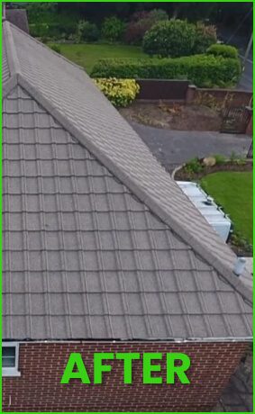 right side of tiled roof after soft wash