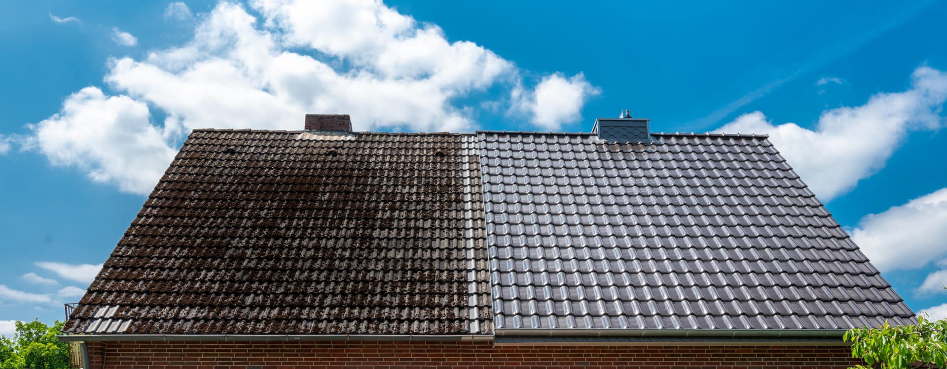 Gutter & Moss Cleaning Specialists Dorset, Wiltshire & Hampshire