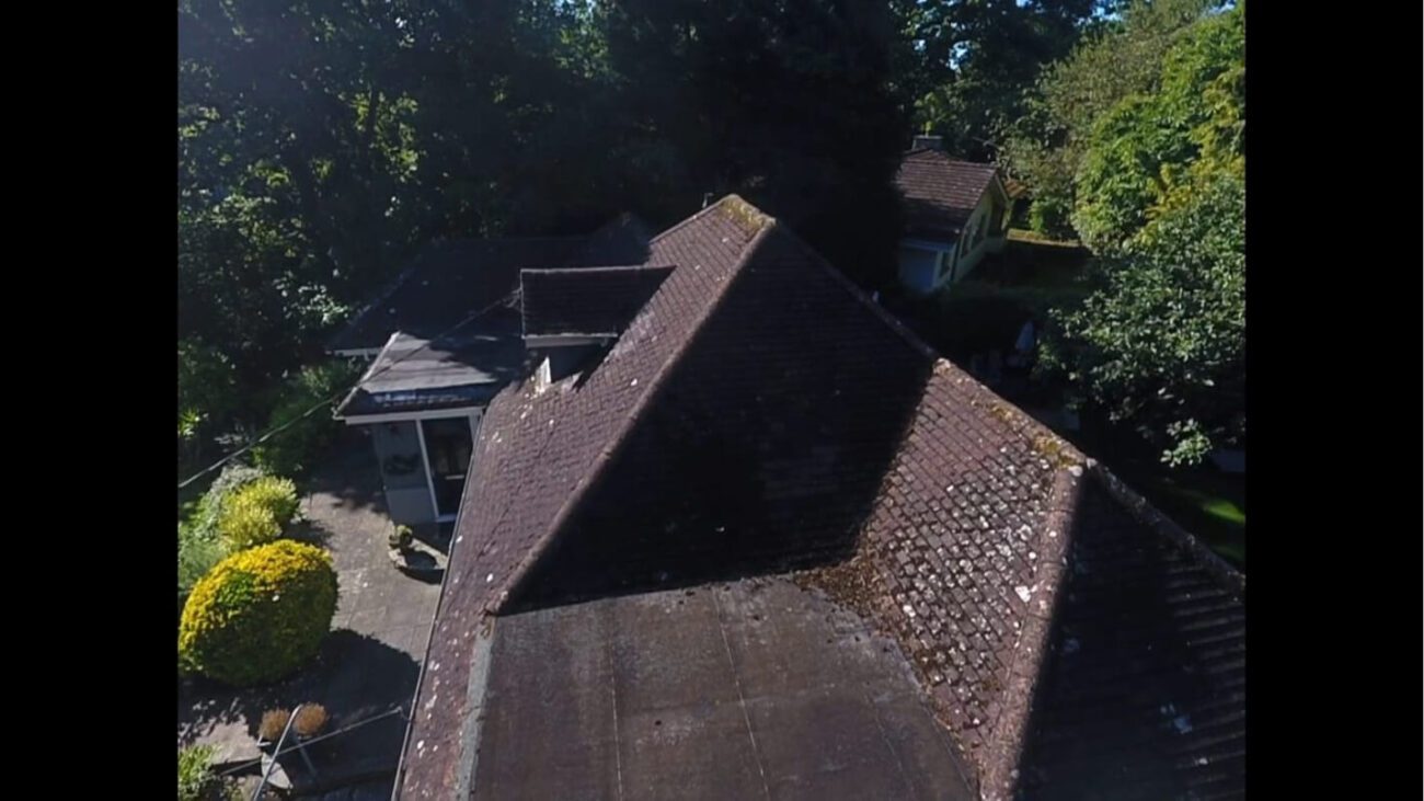 side view of moss covered roof before it's cleaned