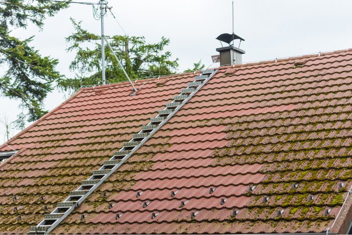 Moss coated red tile roof in the process of being cleaned