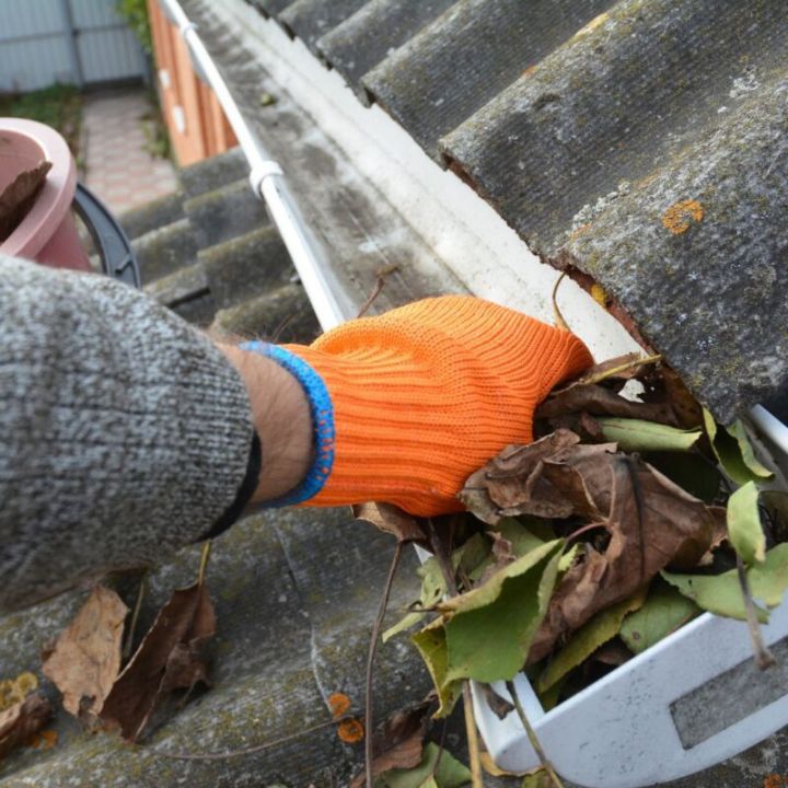 Professional roof cleaning in Romsey
