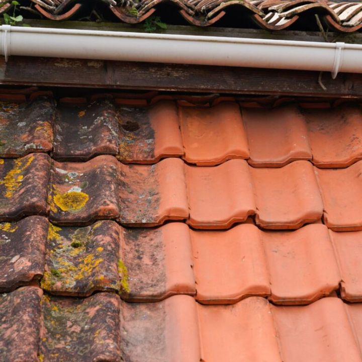 Professional services of roof cleaning in Ringwood
