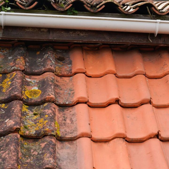 Roof cleaning specialist in Romsey