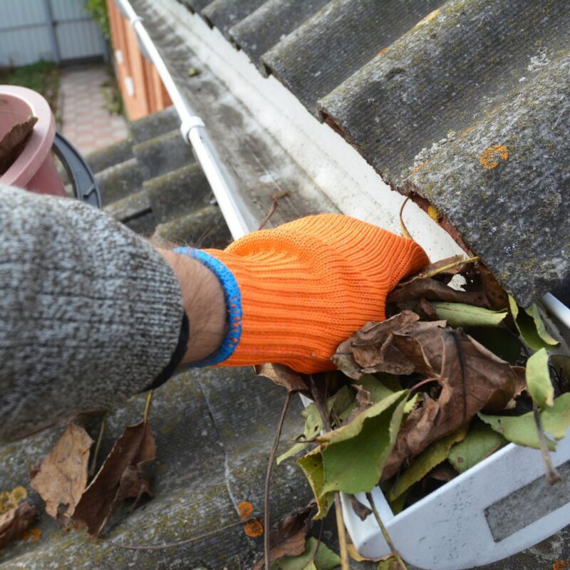 Roof cleaning service Poole