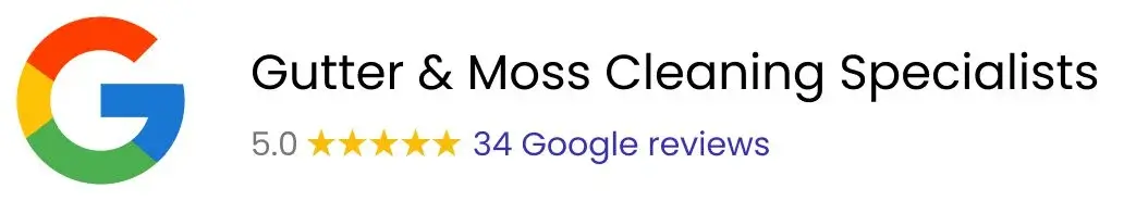 Google Section Half Width 2