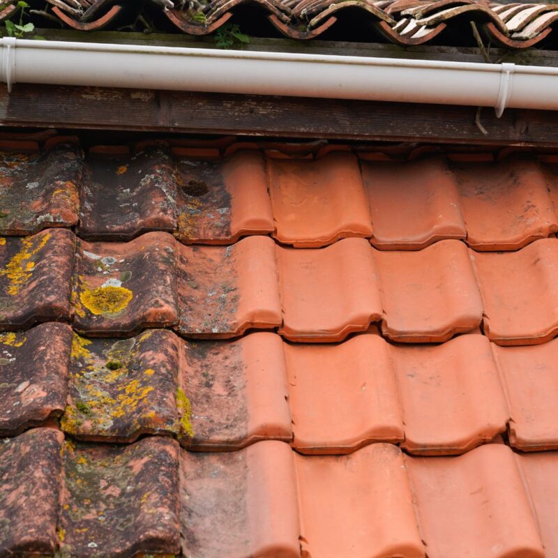 Professional roof cleaning in Southampton, showcasing a team removing moss and debris from a residential roof