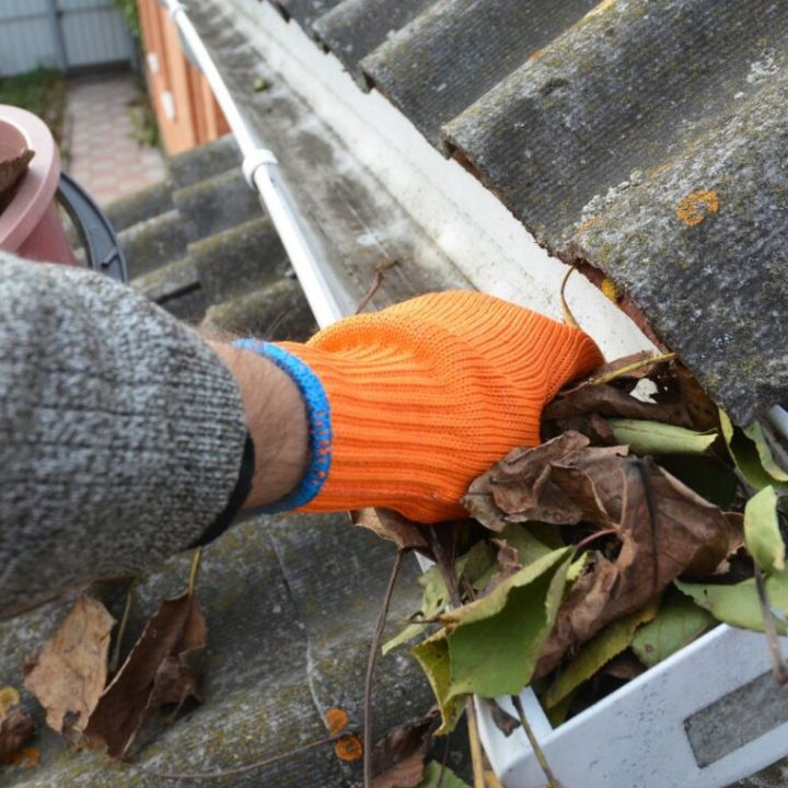 A professional team performing roof cleaning in Southampton, actively removing moss and debris from a residential roof